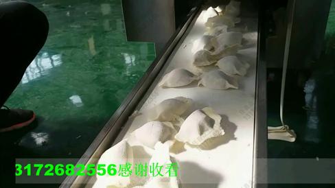 家用小型仿手工饺子机