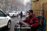 快递《北京喜降春雪》(音画片) 北京下雪了