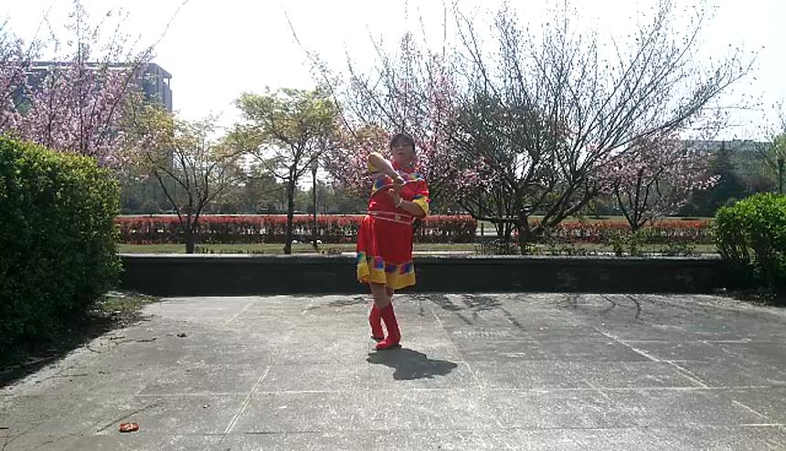 好红花广场舞，美丽的草原