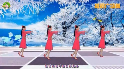 卢清秀广场舞《飘雪的季节更想你》原创编舞32步附教学