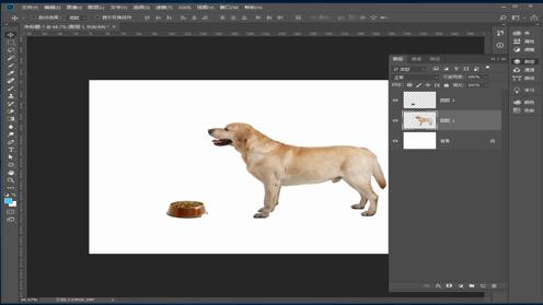 90秒教你Photoshop 控制一个抬头的狗狗低头来吃狗粮