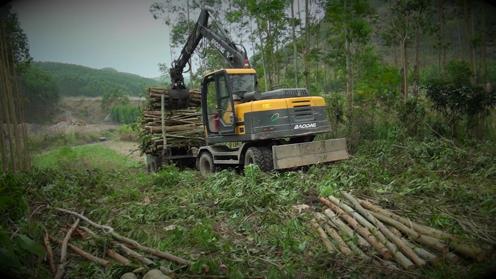 95抓木机在山里的工作视频，玩具