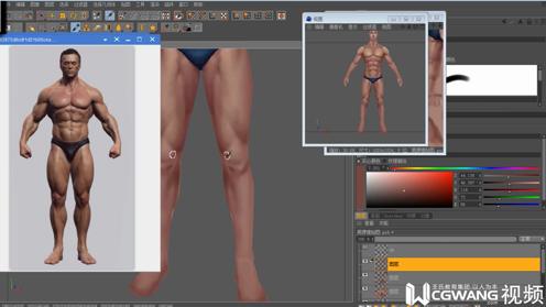 17．男裸模贴图制作十七丨3D模型丨模型贴图丨王氏教育集团