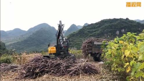 抓木机工作视频 抓木机用宝鼎