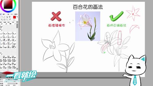 你知道百合花怎么画吗？百合花细节讲解绘画教学