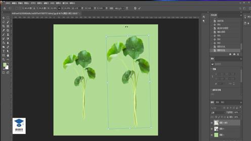 PS抠图大全 PS抠植物图教程 PS去水印教程 PS素描教程