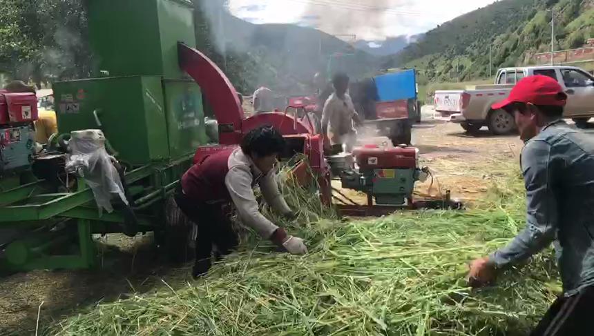 八吨铡草机配套打包机，看养殖户如何搭配!