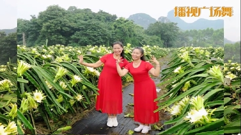 广西柳州彩虹姊妹花（女人如书）编舞－花与影