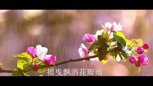 MV《京城花雨》靳羚演唱 三番作词 秦川作曲 