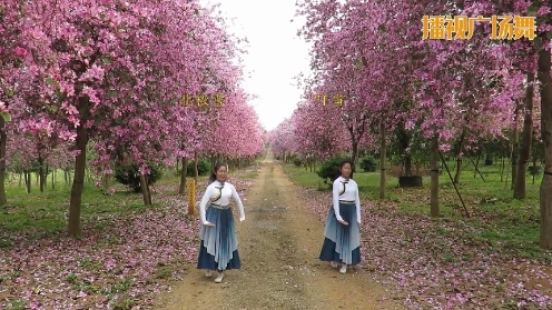 柳州彩虹姊妹花《辽阔的草原绿色的歌  》编舞：美姿依然 