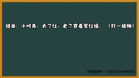 1000个急转弯 打一植物