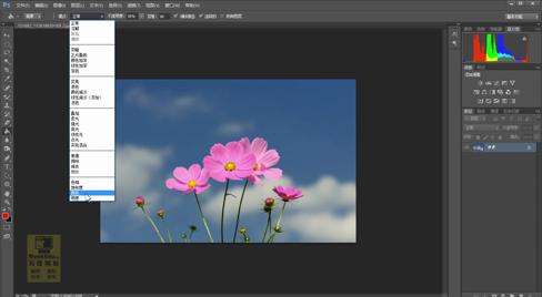 PS基础教程 PHOTOSHOP入门教程 填充工具组