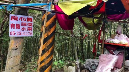 入住賴坤陽之家木屋民宿