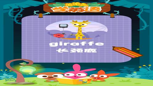 泡泡兔少儿英语教学-giraffe长颈鹿