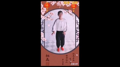 巴林左旗开鲁段村广场舞《想西藏》