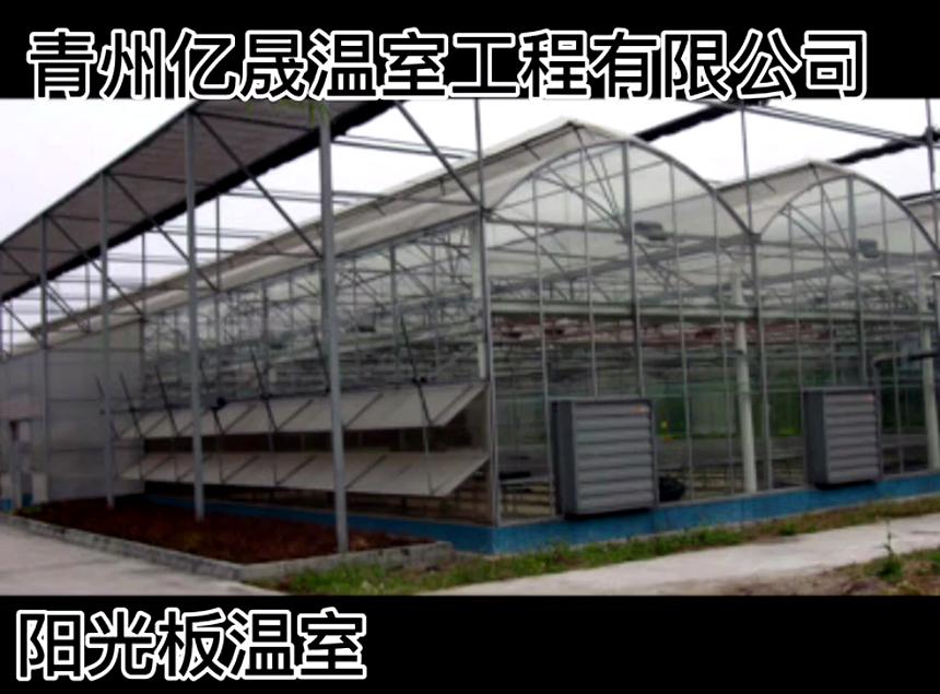 亿晟温室：阳光板温室工程建造