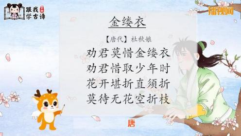 唐诗三百首《金缕衣》童趣跟我学古诗 小学生必学古诗