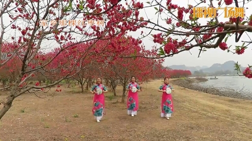 广西柳州彩虹姐妹千亩湖桃花岛团扇舞（红枣树）编舞－美久