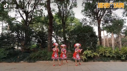 壮族舞蹈《壮族敬酒歌》下凡广场舞