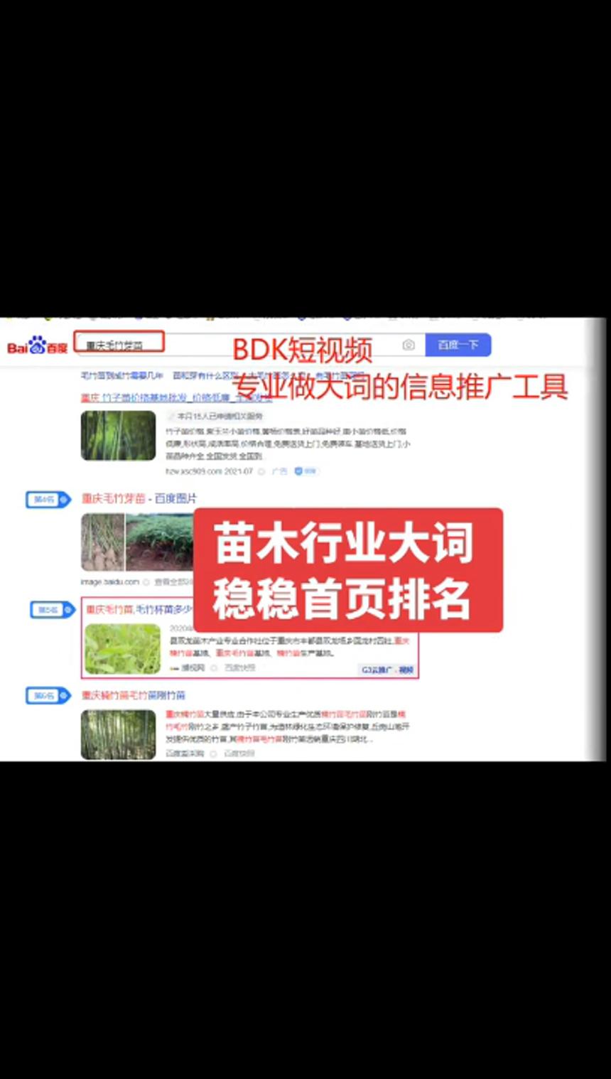 BDK短视频【苗木行业案例】