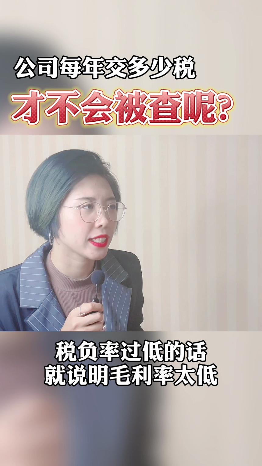 公司每年交多少税才不会被查