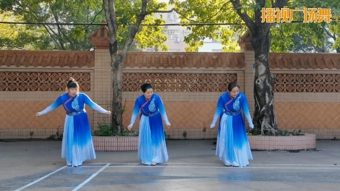 起舞迎新春 花团锦簇 花花广场舞《相约高原》编舞：花花