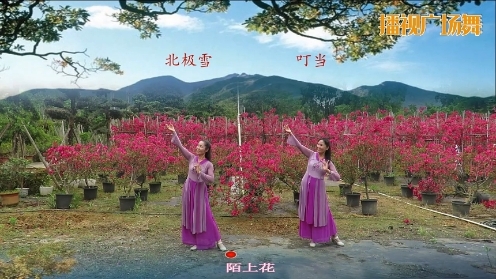 广西柳州彩虹姊妹花园林科技园《陌上花 》编舞：单纯  