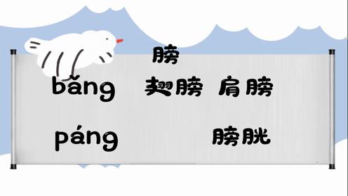 巧记多音字-- 膀、蚌有这几个读音你知道吗 童趣多音字大全