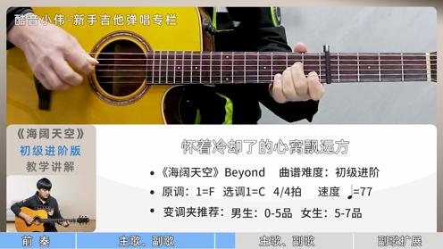 Beyond金曲《海阔天空》双吉他伴奏 初级进阶版-酷音小伟