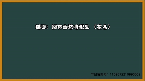 1000个急转弯 别有幽愁暗恨生