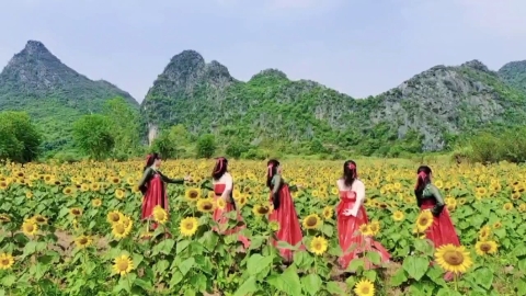 柳州彩虹姐妹与漓江姐妹花相约桂林马家坊花海