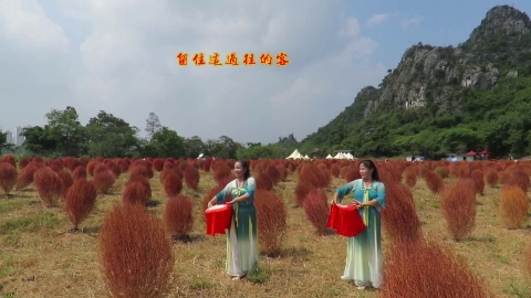 柳州彩虹姊妹花桂林桃花岩即兴(茶香夜雨)编舞-花与影