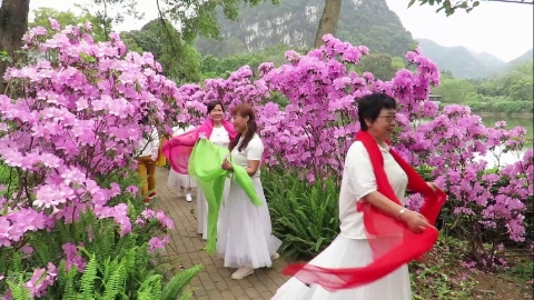 20240330平塘站区发小相聚柳州园林科技园剪影(上春山)