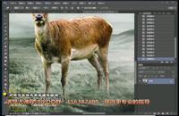 photoshop教程ps入门教程ps排版教程视频