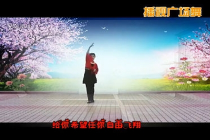 金华清韵广场舞《相恋》 王振茹