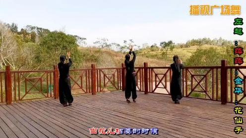 金华广场舞 丁香花 三人版