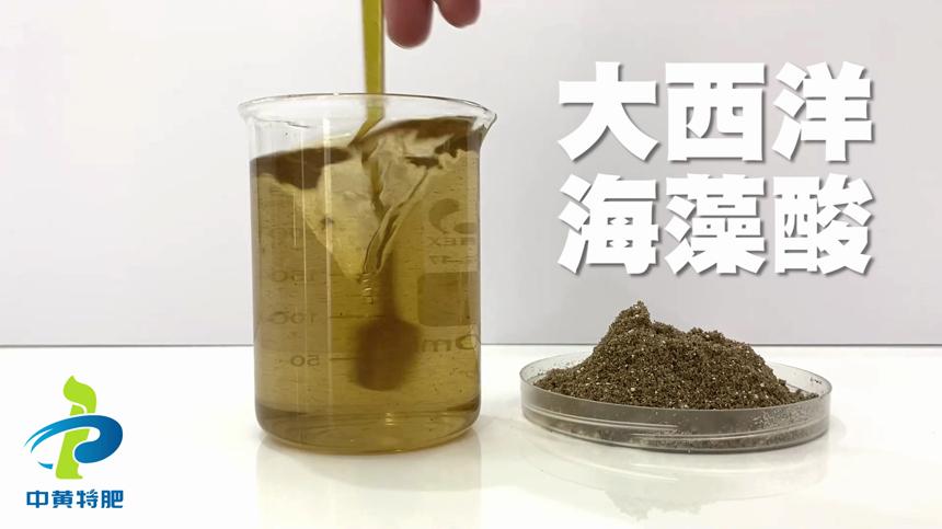 中黄特肥水溶肥厂家黄腐酸钾水溶肥溶解视频