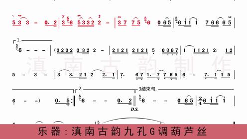 网络超火歌曲《下辈子不一定还能遇见你》葫芦丝动态学习曲谱示范