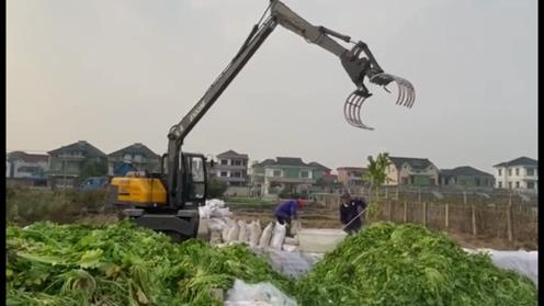 长臂食品级别抓菜机-多功能轮式抓机