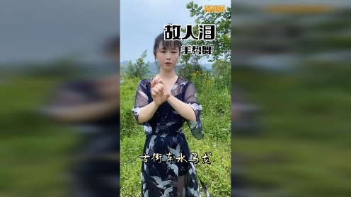 抖音简单舞蹈教学视频-故人泪手势舞