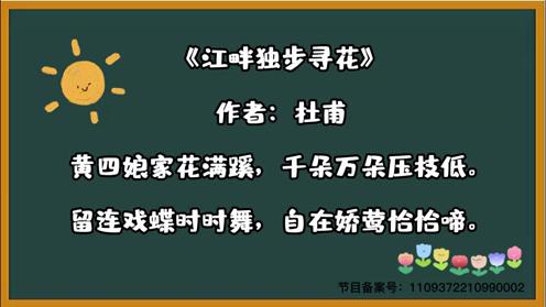 唐诗三百首《江畔独步寻花》童趣古诗大全 