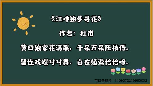 古诗三百首 《江畔独步寻花》 童趣必背古诗