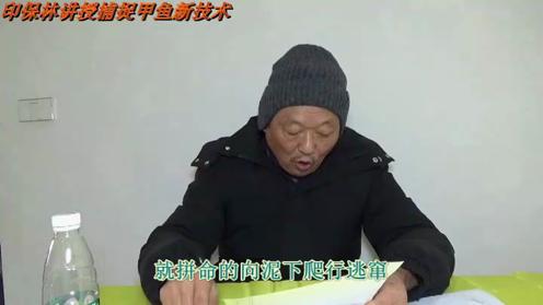 民间渔人的绝技，敲水震塘捕甲鱼，钻入水中徒手抓获野生甲鱼