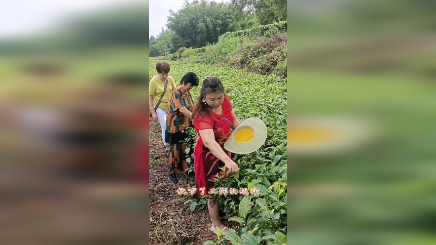 回乡花繁《家的味道》短视频