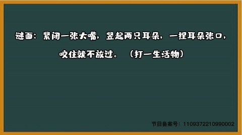 1000个急转弯 打一生活物