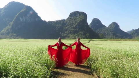 柳州彩虹姊妹花隆安更望湖即兴(等到草原花满地)编舞-春英