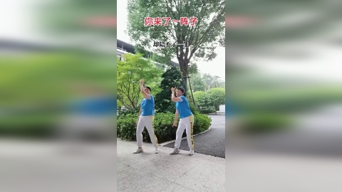 姐妹花《你来过一阵子》